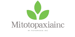 MI TOTOPAXIA INC